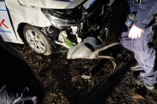 Pruszcz: Wbił się autem z wypożyczalni w płot i skasował dwa auta [ZDJĘCIA]