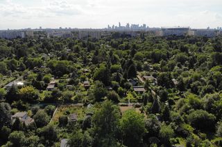 W tych mazowieckich powiatach zarabia się najlepiej. Większość łączy jeden czynnik