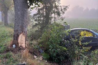Śmiertelny wypadek pod Malborkiem. Dwóch nastolatków uderzyło w drzewo [ZDJĘCIA].