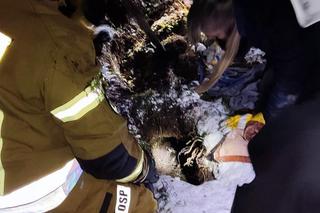 Szczeniaczki uratowane przez stowarzyszenie Zwierzoluby z Siedlec i strażaków