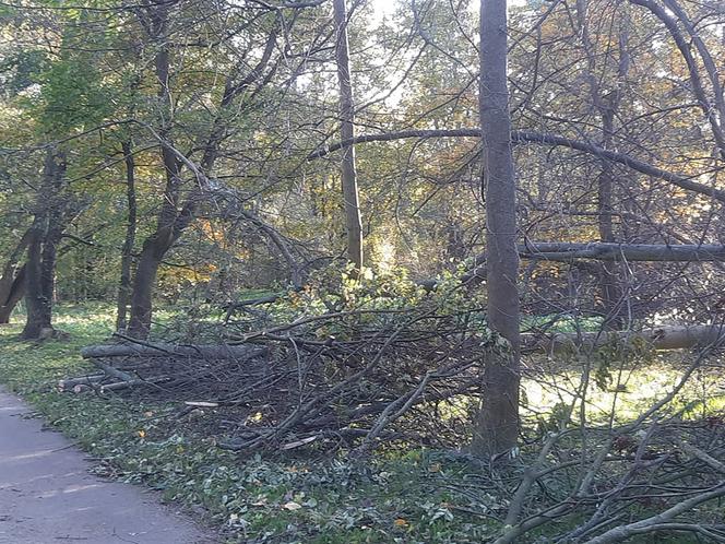 Skutki wichury we Wrocławiu