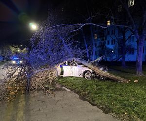 Policyjny pościg ulicami Warszawy. BMW w płomieniach 
