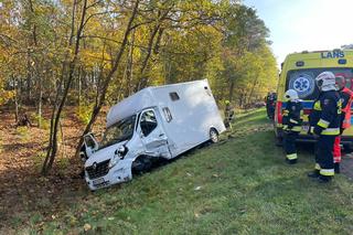 Cierpice: Zderzenie osobówki z autem przewożącym konia [ZDJĘCIA]