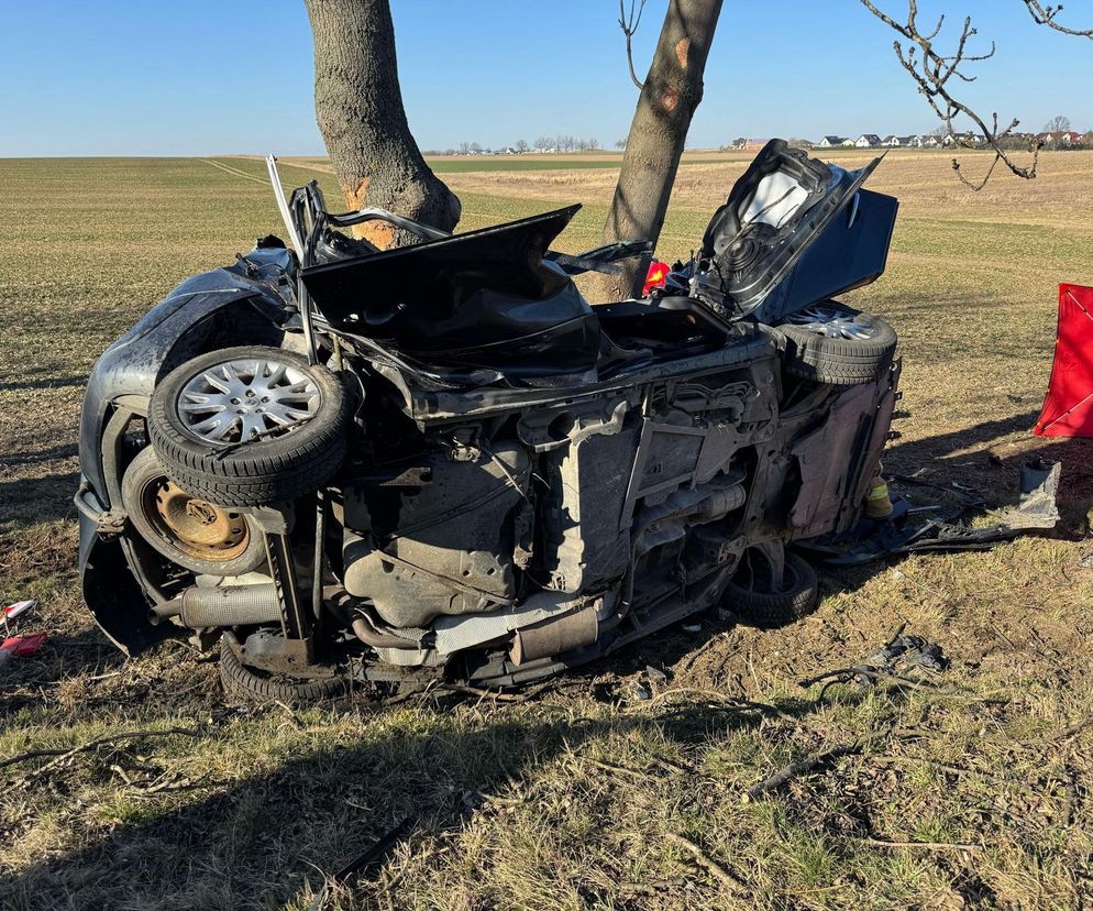 Śmiertelny wypadek pod Nysą. Cztery osoby zginęły po uderzeniu w drzewo [ZDJĘCIA]