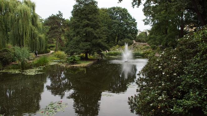 To jeden z najpiękniejszych ogrodów botanicznych w Polsce. Znajduje się na Dolnym Śląsku 