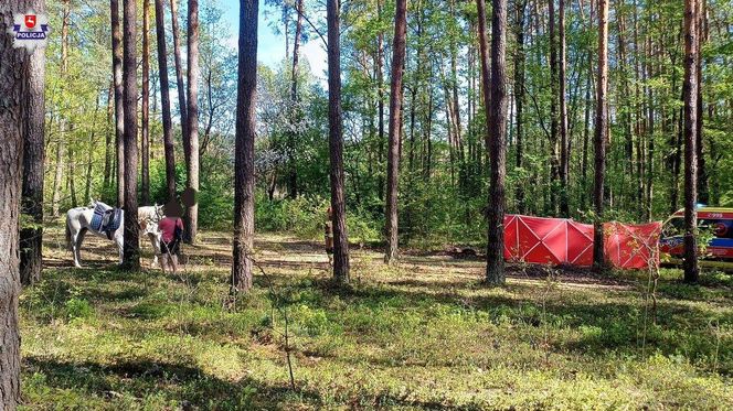 Tragiczny wypadek podczas konnej przejażdżki
