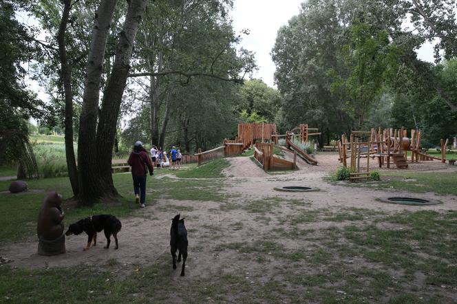 Naturalny plac zabaw przy Dolinie Służewieckiej. Chcieli go spalić, teraz go uwielbiają? 