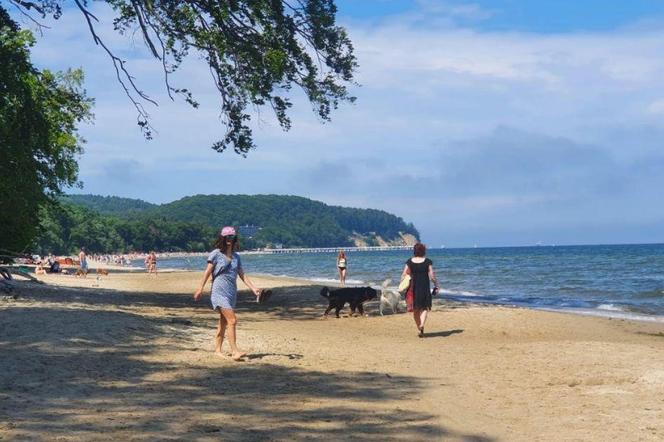 Gdynia plaża dla psów