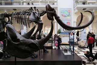 W tym warszawskim muzeum zrobisz sobie selfie z dinozaurem. Wstęp nic nie kosztuje!