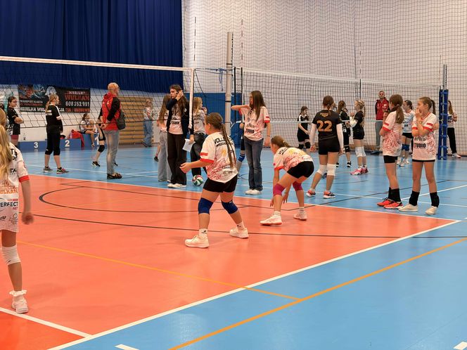 Siatkarski turniej z okazji Święta Niepodległości w Grudziądzu