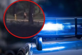 Atak w Sosnowcu. Jest nagranie napastnika i interwencji policji
