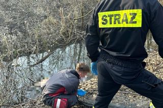 Ciało znalezione w rowie melioracyjnym 