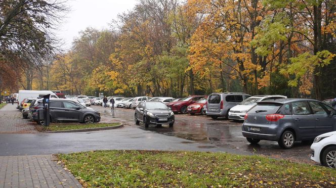 Zbliża się Dzień Wszystkich Świętych. Jak wyglądają przygotowania na najstarszym cmentarzu w Lublinie?