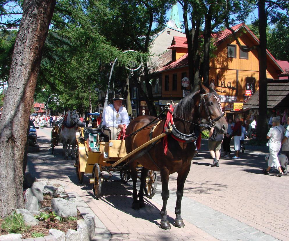 Zakopane