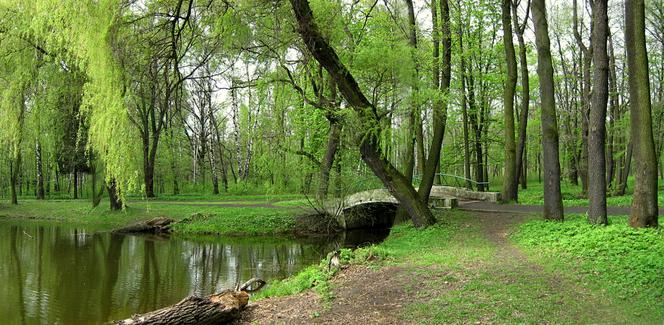Park Zielona w Dąbrowie Górniczej