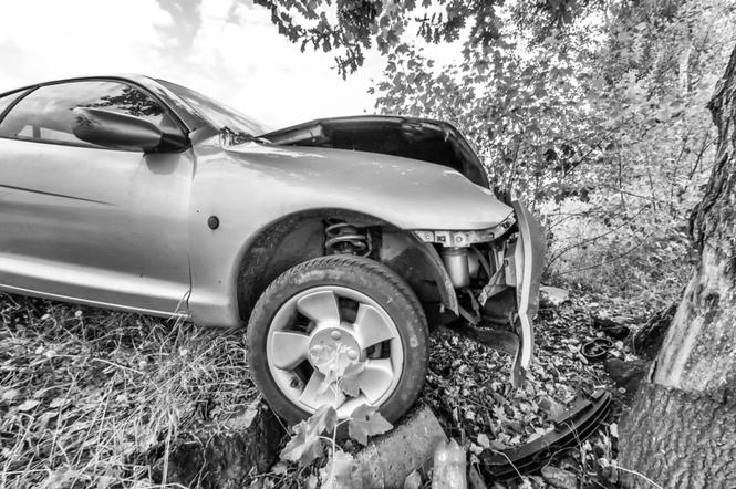 Tragiczny wypadek w Łysomicach. Kierowca uderzył w drzewo