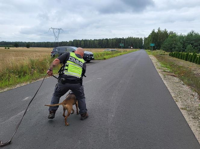 Tajemnicze zaginięcie 30-letniej Jowity. Kobieta wracała z pracy i zniknęła na leśnej drodze