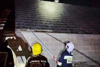 Supraśl. Strażacy OSP ściągnęli kaczkę z dachu