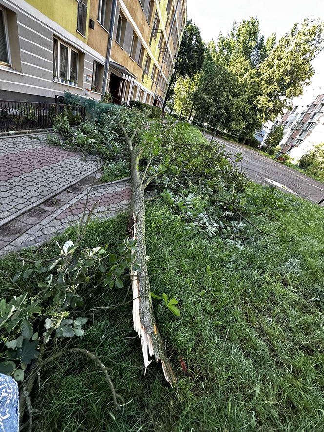 Burze w Świętokrzyskiem - 23-24 czerwca 2025