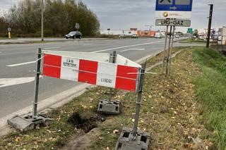 Warszawa. Bóbr wykopał norę przy jezdni! Droga groziła osunięciem