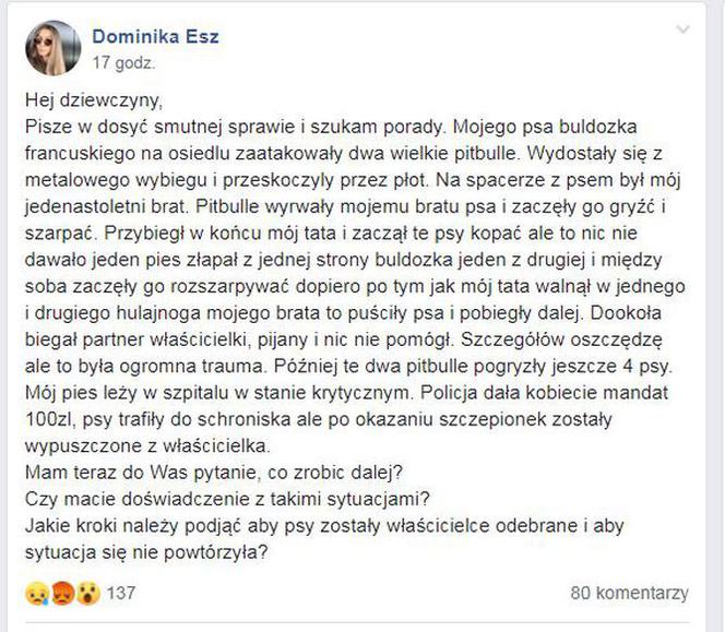 Pitbulle-mordercy rozszarpały pieska! 