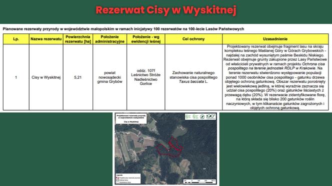 Rezerwat Cisy w Wyskitnej