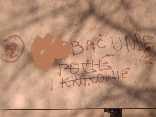 Tarnów. Najdziwniejsze i najśmieszniejsze napisy w miejscach publicznych