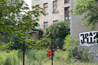 W Łodzi zawaliła się kolejna kamienica. Tym razem przy ulicy Jerzego
