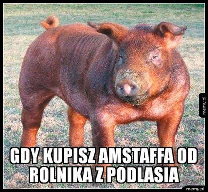 Najlepsze memy o Podlasiu. Zobacz najciekawsze memy o województwie podlaskim. Ubaw do łez!