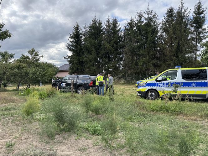 Wypadek awionetki w Krzycku Wielkim