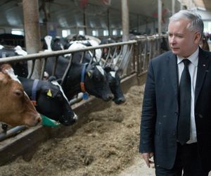 AI wybrała 5 najlepszych polityków w Polsce ostatnich 30 lat!