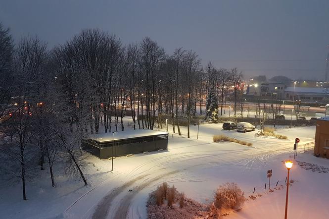 W Toruniu sypnęło śniegiem