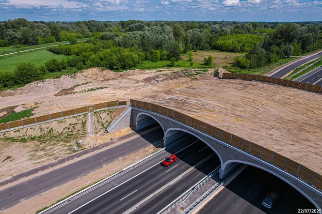 Budowa S7 Płońsk - Czosnów, odcinek od węzła Modlin do węzła Czosnów