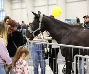 To gratka dla miłośników zwierząt! Przed nami ZooPark