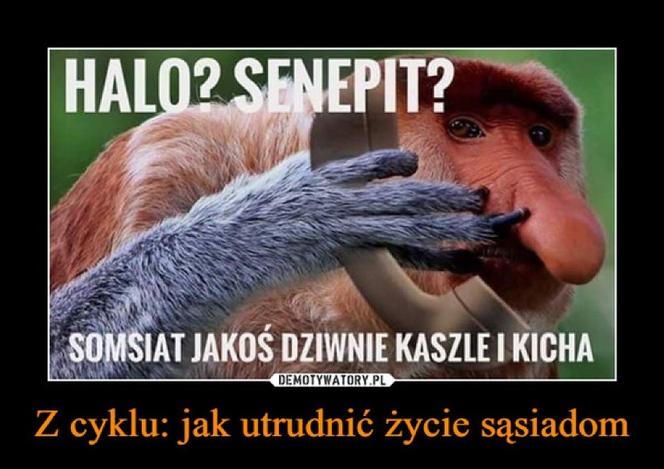 Co Polaków śmieszyło w czasie pandemii? Uczone z UMCS napisały o tym książkę 