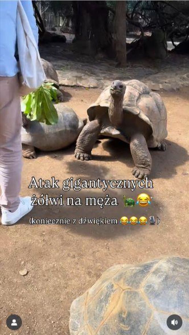 Maciej Orłoś, Paulina Orłoś