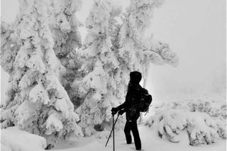 Dziwne stwory w górach. Śnieżne duchy i potwory straszą turystów