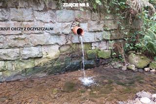 Zanieczyszczenie ujęcia wody pitnej w gmienie Niedźwiedź, w powiecie limanowskim