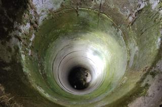 Borsuk wpadł do 9-metrowej studni. Ratowały go trzy zastępy strażaków