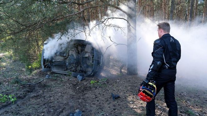 M jak miłość odc. 1875. Dominik Walat (Bartosz Surówka)