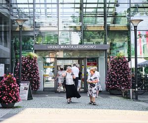 Gęstość zaludnienia w Polsce. W tych miejscowościach żyje się jak w ulu