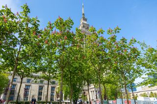 Plac Centralny w Warszawie pod koniec budowy