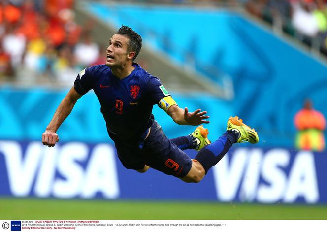 Robin van Persie, Holandia