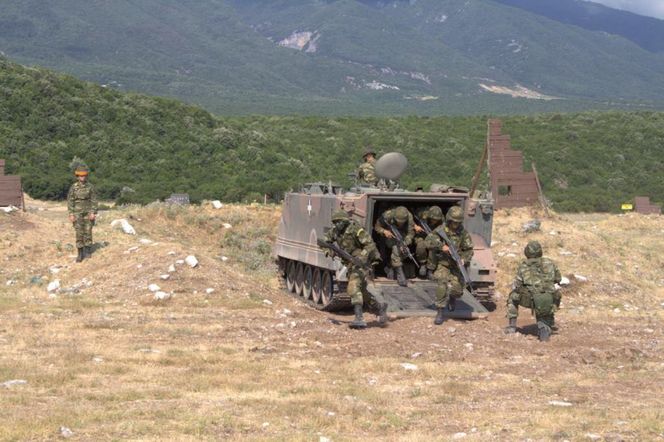 Ponad 400 nowych wozów bojowych i modernizacja czołgów. Niemcy kuszą Grecję