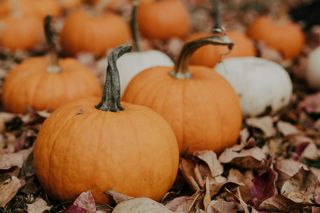 Dania w wykorzystaniem dyni