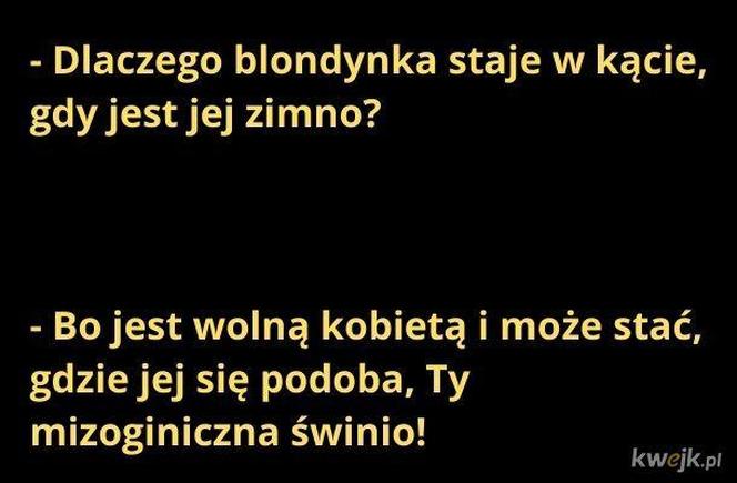 Najlepsze memy o blondynkach