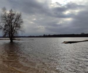 Plaża w Nowym Dębcu znika pod wodą