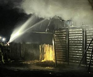 Nocny pożar w Rezerwacie Archeologicznym  w Kaliszu. Ogromne straty finansowe