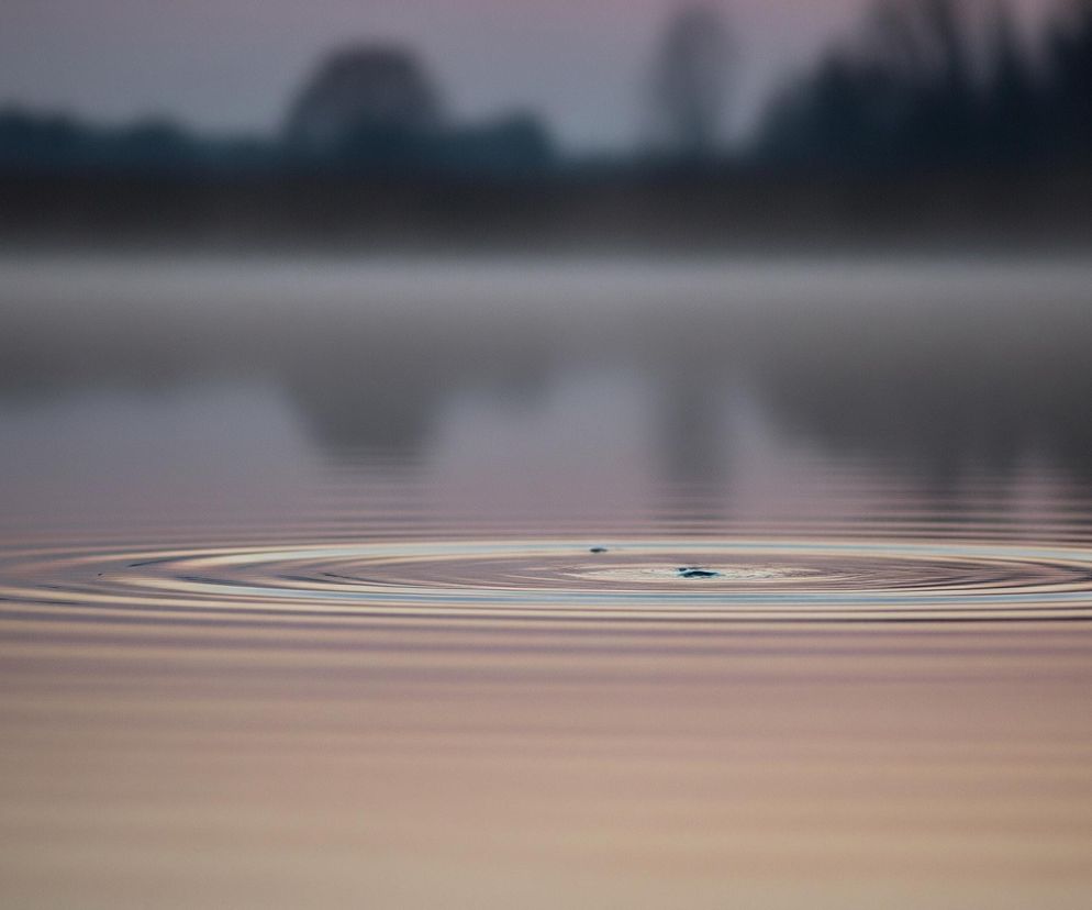 Centralny punkt zdjęcia to drobne kręgi rozchodzące się na powierzchni wody w jeziorze lub stawie, widoczne w dolnej połowie kadru. Kolory wody przechodzą od jasnego beżu i różu na pierwszym planie do ciemniejszych odcieni fioletu i szarości w tle. Horyzont jest niewyraźny, z zamazanymi sylwetkami drzew i mgłą unoszącą się nad wodą, a górna część zdjęcia przedstawia rozmyte niebo w odcieniach szarości i bladego różu.