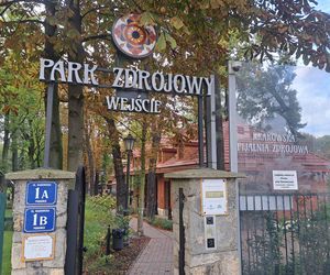 Park Zdrojowy w Krakowie